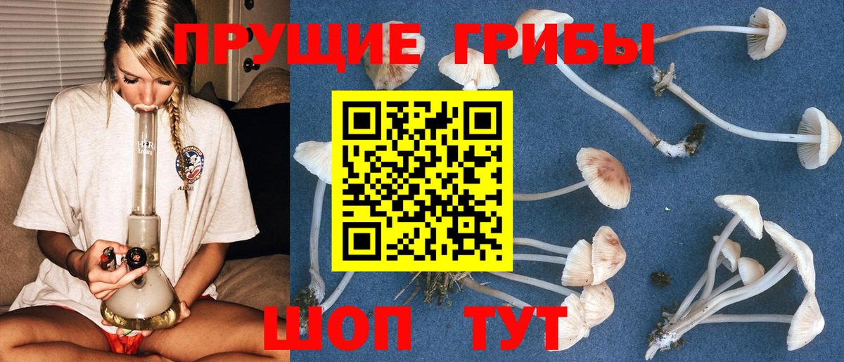 Галлюциногенные грибы Psilocybine cubensis  Ханты-Мансийск 