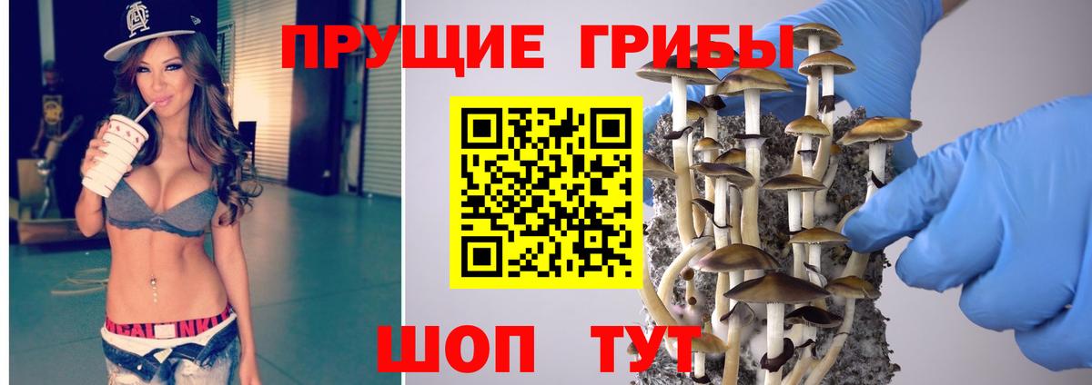 Ханты-Мансийск  Галлюциногенные грибы Psilocybe  Вход с VPN 